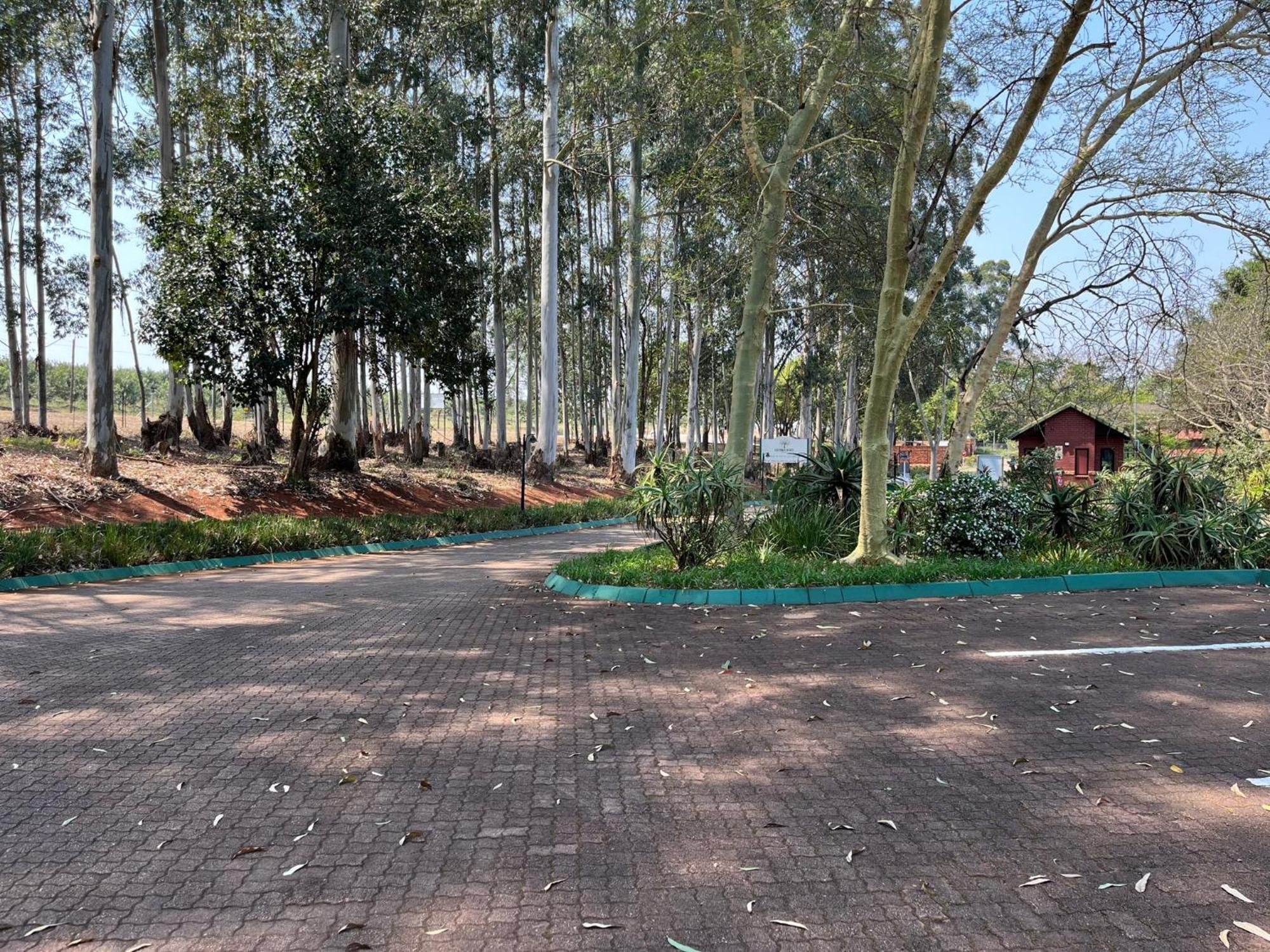 ווייט ריבר Thyme Inn On Greenway מראה חיצוני תמונה